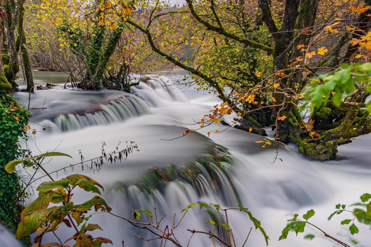 فيلا Ecotourism مريزنيكا المظهر الخارجي الصورة