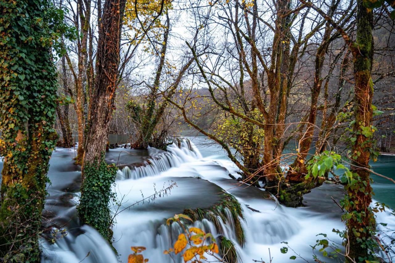 فيلا Ecotourism مريزنيكا المظهر الخارجي الصورة