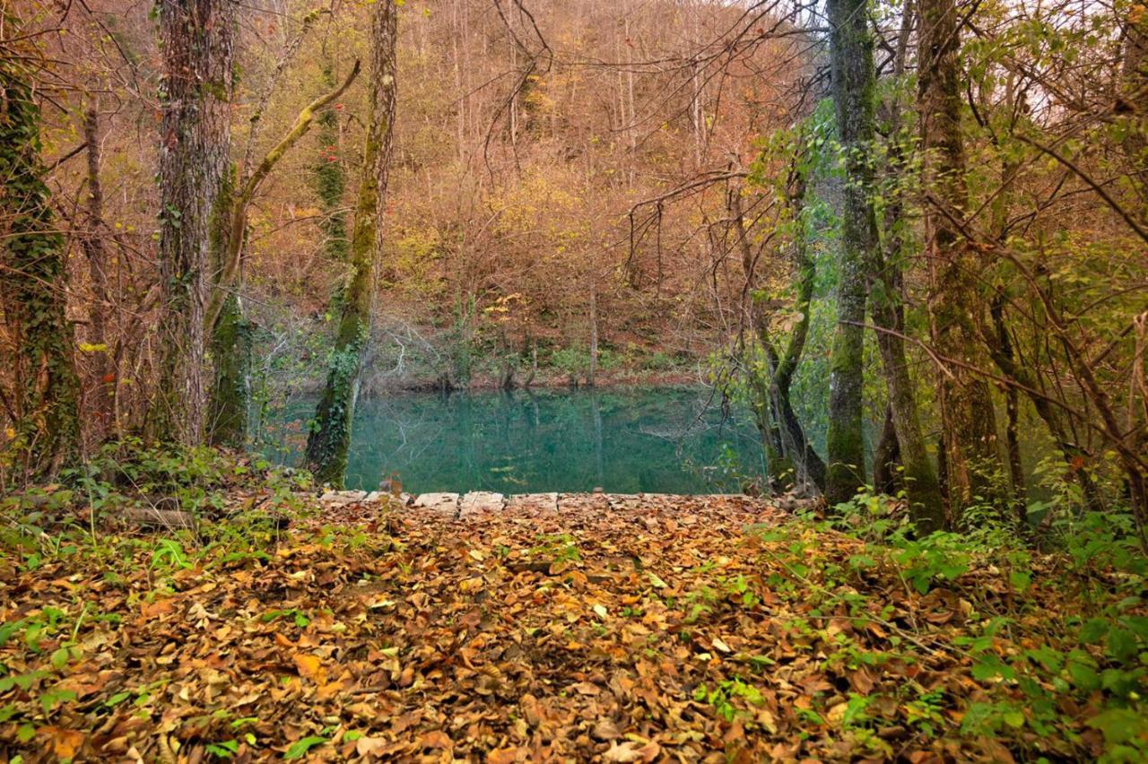 فيلا Ecotourism مريزنيكا المظهر الخارجي الصورة
