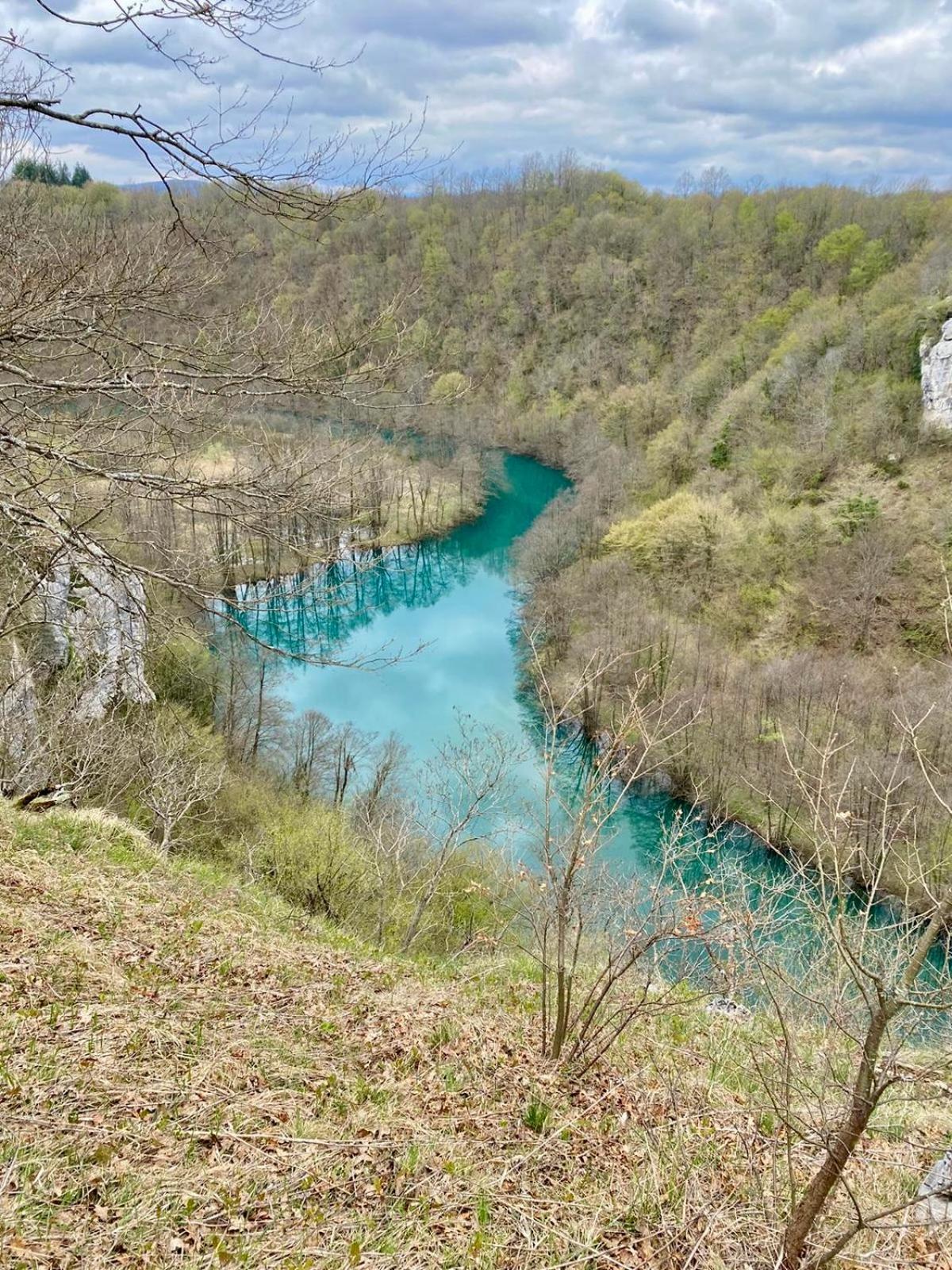 فيلا Ecotourism مريزنيكا المظهر الخارجي الصورة