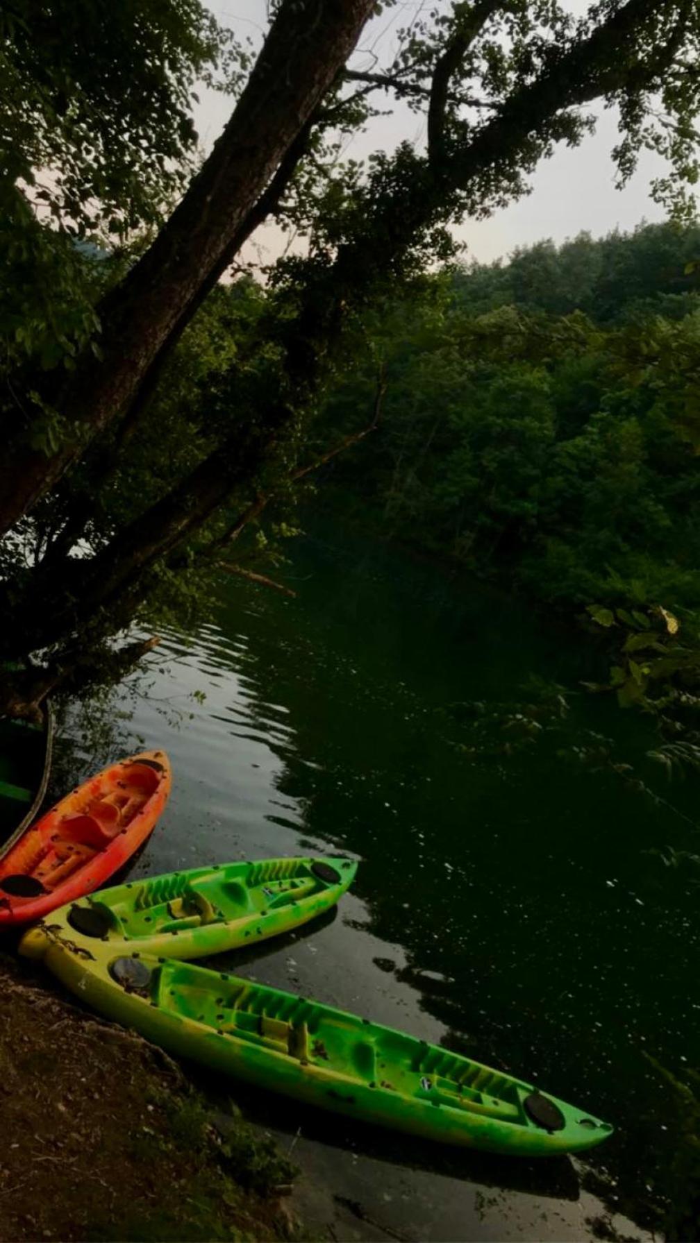 فيلا Ecotourism مريزنيكا المظهر الخارجي الصورة